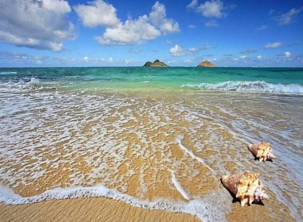 Albm seviciler. Dilara, "TATL :)))" albmne 1653 foto ekledi.