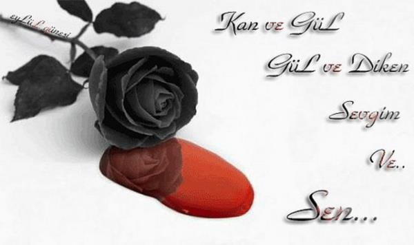 Kan alayan gll youtube klibi paylaan romantikler.