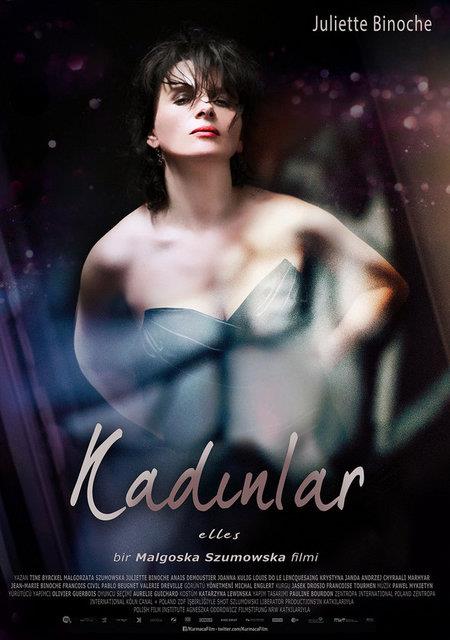 <p><b>13-Kadnlar (Elles) (2011) </b></p>  Orta yal bir kadn olan Anne, iki de kz annesidir. Ancak belli bir yaa gelmesi onun cinsel aln arttrmtr.