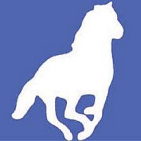 Devlet fonuna (TMSF) devredilen bankalarn aktif bykl, bankaclk sektrnn toplam aktif byklnn 5'te 1'ine ulamas nedeniyle artk finansal sistemi depremlerle sarsan krizde en byk zarar, Cem Uzan'n mar Bankas'ndan geldi.