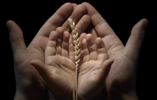 Duha namaz diye de anlan kuluk namazn hi ihmal etmezdi. le sca iyice bastrnca kaylle yapar yani le uykusuna yatard.