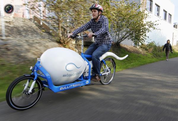 <b>Dnden Bugne En Srad Aralar</b>