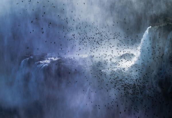 2013 National Geographic Traveler Photo Contest yarmasna katlan en srad mekanlar ve en gzel anlar yakalayan fotoraflarn birbirinden gzel kareleri.