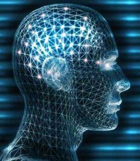 Bilim adamlarna gre IQnuz ne kadar yksekse o  kadar ok rya grrsnz...