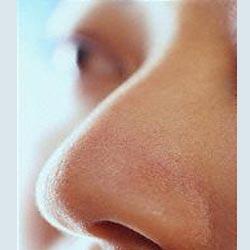 Burnunuzla baparmanz ayn boydadr.  <p><b>(ve bu bilgiyi okuyan herkes bunu dener)</b></p>