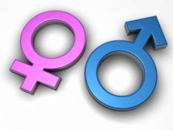 nsanlarda cinsiyeti belirleyen 23. kromozomdur.