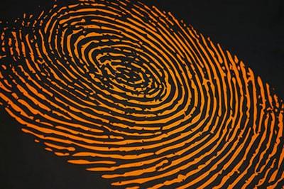 Parmak izleri gibi dil izlerinin de her insan iin benzersiz olduunu biliyor muydunuz?