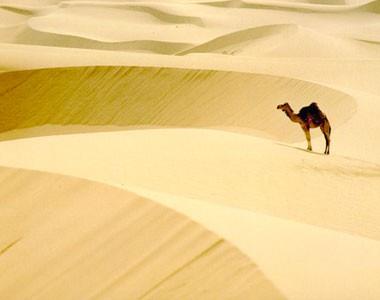 Sahra lndeki Tidikelt kasabasna on yl boyunca hi yamur yamamtr
