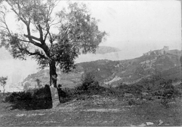 <b>Beykoz</b>