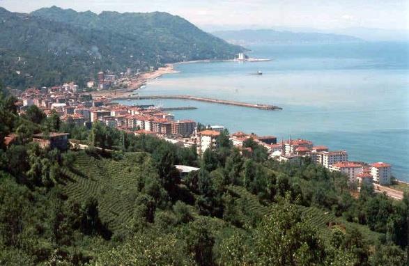 ayeli (Rize) - 18 adet