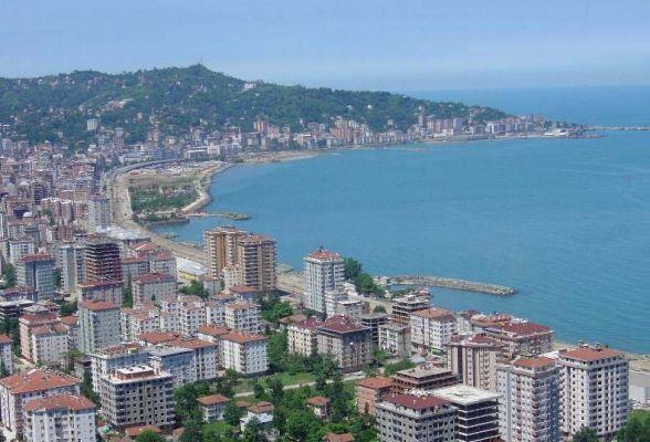 Rize - 22 adet