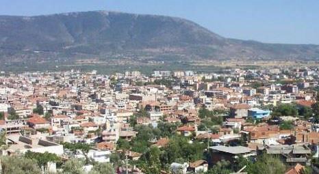 Milas(Mula) - 30 adet