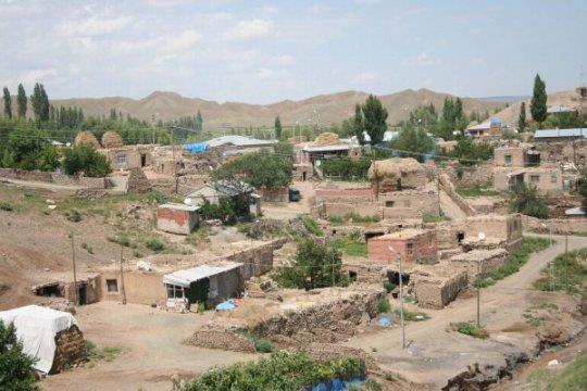 Tuzluca(Idr) - 14 adet