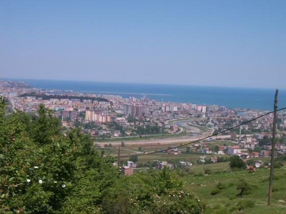 Canik (Samsun) - 201 adet