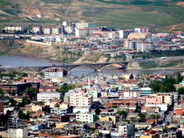 Cizre - 33 adet