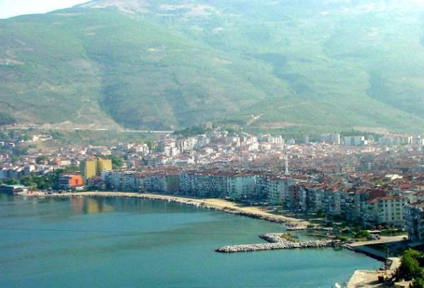 Gemlik - 138 adet