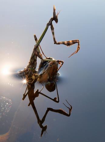 3. Yasin Morta - Doa