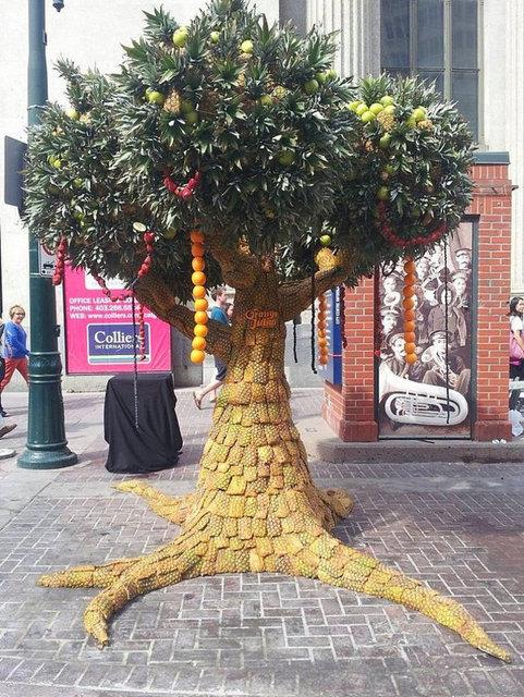 <p><b>Dnyann en byk meyve aac heykeli</b></p>  Shawn Feeney 1200 para meyve ile dnyann en byk meyve aacn ina etmi