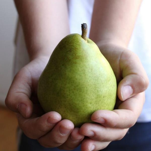 Kandaki re asidi ve re tuzlarn dar atar. Bbreklerin dzenli almasna yardmc olur. Bbreklerde kum ve talarnn dklmesini salar