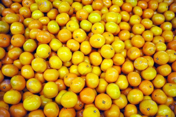 Turungiller ailesinin fertleridir. Sularndaki antioksidanlarla damarlar ve klcal damarlar glendirirler