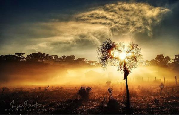 Brezilya, Santa Catarina'da gndoumu. Fotoraf Miguel-Santos tarafndan ekilmi. Harika uyum, harika a, harika zaman.
