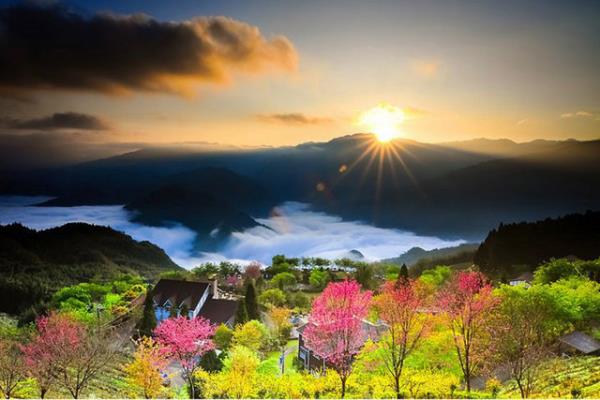 Bu harika fotoraf, Tayvan'da Hsiao Chen-Hsuan tarafndan ekilmi. Renklerin birbirine olan uyumu, gne, bulut, iekler ve evler. Fotoraf, her eyiyle harika olan bu fotorafla National Geographic Gezginler Fotoraf Yarmasna katlm.