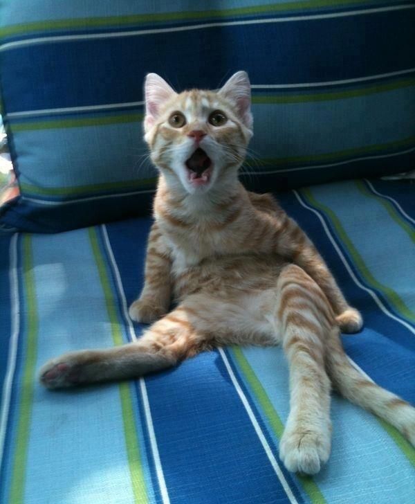 Onur'un kurtar��lar�ndan sonra ben...