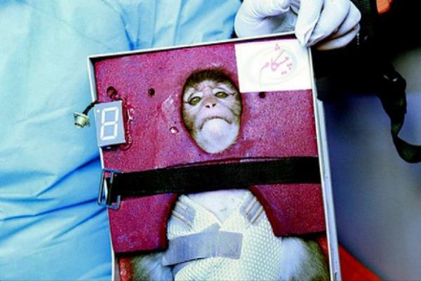 <p><b>Ocak</b></p>  �ranl� yetkililer rokete koyduklar� bir maymunu 115 kilometrelik y�ksekli�e g�ndermeyi ba�ard�.