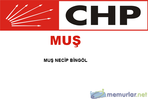 CHP'nin 746 belediye bakan aday belli oldu