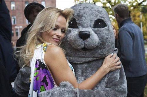 Pamela Anderson - Yenge