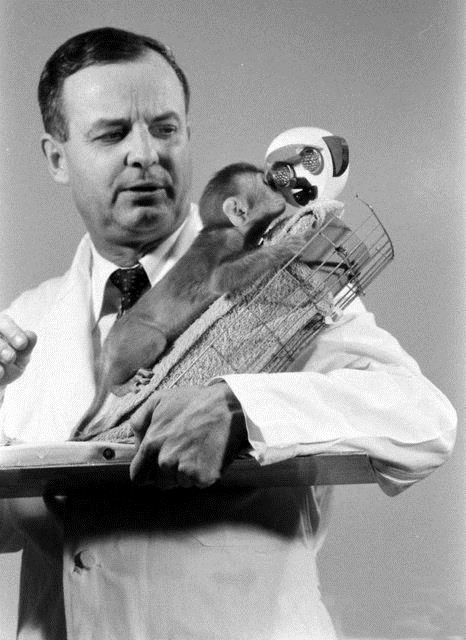 Harlow, meslektalarndan gelen eletirilerin hibirini nemsemedi ve kendi deyimi ile unu syledi: