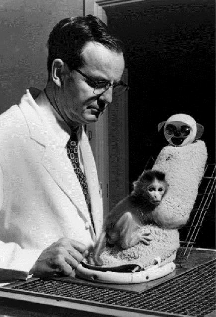 Deneylerinden birinde, "aresizlik kuyusu" adn verdii, bo ve tm d etkenlerden mahrum ekilde tasarlanm bir oda eklindeki, iinde eitli dzenekler bulunan bir aparatn iinde maymunlar zerinde alt.