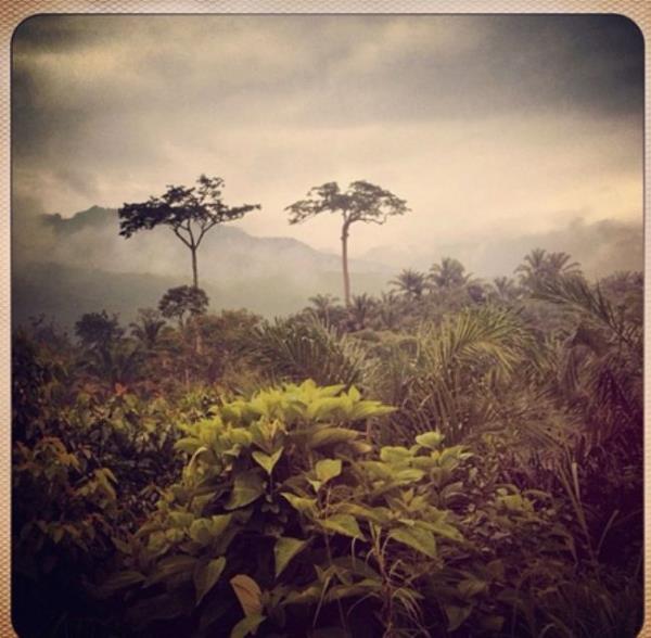 Kongo Demokratik Cumhuriyeti