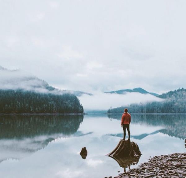 Amerika Birleik Devletleri