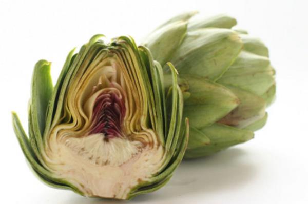 <b>Zerdep:</b> Safra kanal tkanklklarnda kullanlmaz. Safra ta olmas durumunda doktor kontrol gerektirir. Mide lserinde kullanlmaz.