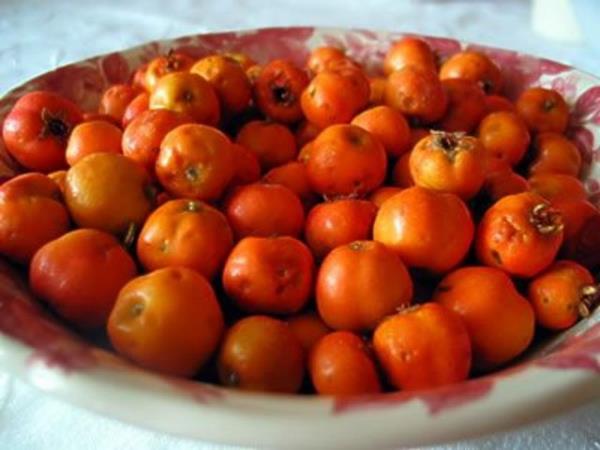 <b>Al:</b> 12 ya altnda kullanlmamaldr.