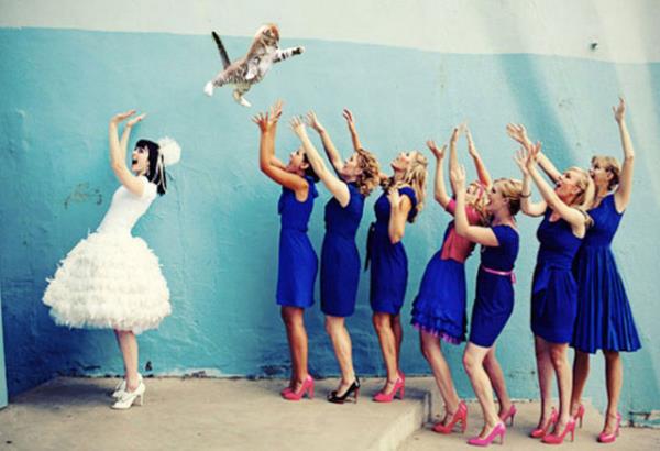 Sevgisiz ve yalnz bir hayat iin tek tedavinin kedi sahibi olmak olduu evrensel olarak kabul edilmi bir gerektir.