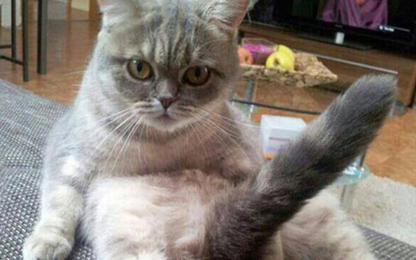 Eer bacan seni kzdryorsa,onu iki patinle beraber kavra ve fkeyle sr.