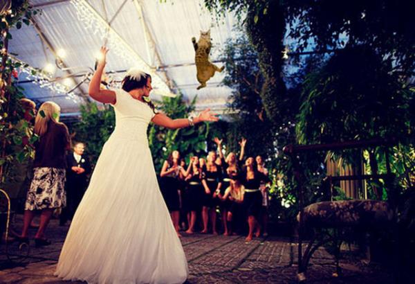 Kedi frlatan gelinler