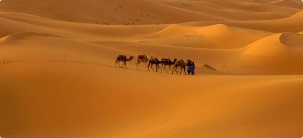 Hz. Muhammed, son ana kadar ne yne sefer dzenleneceini aklamad.
