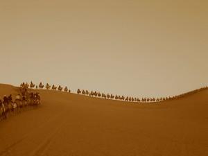 <p>Fetih sonrasnda Hz. Muhammed Kabede ilk hutbesini verdi. Mekkelilerin phelerini de gidermek adna hutbesinde u szlere de yer verdi:</p>    Benim halimle sizin haliniz, Yusufun kardelerine dediinin tpks olacaktr. Yusufun kardelerine dedii gibi ben de diyorum: 'Size bugn hibir baa kakma ve ayplama yok. Allah, sizi balasn. O, merhamet edenlerin en merhamaetlisidir(Yusuf Suresi 92).' Gidiniz; sizler serbestsiniz.