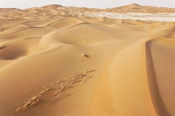 Ayrca Medineye giri klar durdurdu. Bylece Mekkelilerin, slam Ordusunun hareketlerini renme olana kalmad.