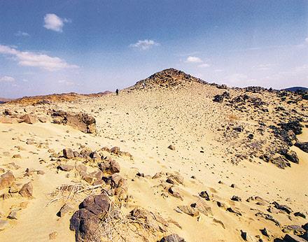 Hz. Muhammed, hareket emri verdi ve Fetih Suresini okuyarak Mekkeye girdi. 3 kol herhangi bir direnile karlamazken Halid bin Velidin komutasndaki 4. kol, krime bin Ebu Cehil nderliinindeki kk bir saldry geri pskrtt.