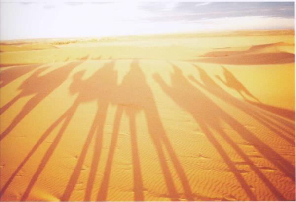 Hz. Muhammed bundan, aralarnda krime bin Ebu Cehil ve Hindin de bulunduu on kiiyi mstesna tuttu. Bunlar, Mslmanlar katlettikleri, onlara ar ikenceler yaptklar iin grldkleri yerde ldrleceklerdi.