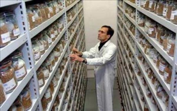 Kuzey Kutbu`na 1000 kilometre uzaklkta, BM Gda ve Tarm rgt ile Uluslararas Biyoeitlilik aratrma grubunun oluturduu Kresel Hasat eitlilii rgt ve Norve hkmeti tarafndan yaptrlan...