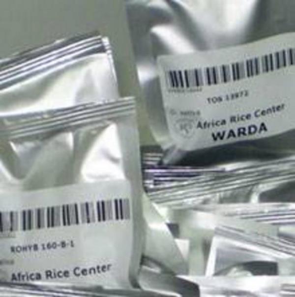 Projenin arkasndaki beyin ve Kresel rn eitlilii Merkez (GDTC) yneticisi Cary Fowler ambarn nemini yle aklyor: