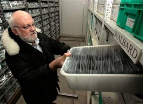 Svalbard ambarnda, hava scakl baz tohumlarn 1000 yl yaayabildii eksi 18 dereceye kadar drlyor.