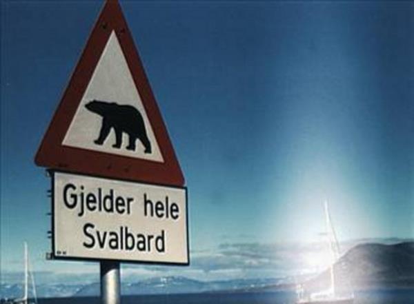 ABD, ngiltere, Norve, Almanya, svire ve Kanada`dan devlet fonlar aktarlyor.