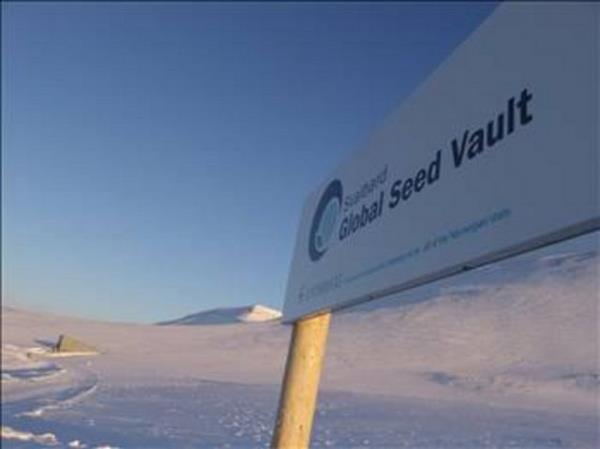 1983 ylndan beri Norve'te yrtlen `Kresel Tohum Deposu` projesiyle, herhangi bir felaket durumunda, Nuh'un gemisi efsanesinin gerek olmas amalanyor.