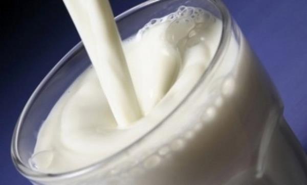 Sindirim sistemi sal ile birlikte yeterli kalsiyum tketiminin zayflamaya destek olduu almalarla desteklenmitir.